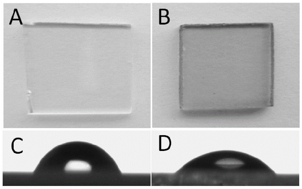 A controllable and versatile method for directional surface imprinting and applications of the resulting molecularly imprinted polymers