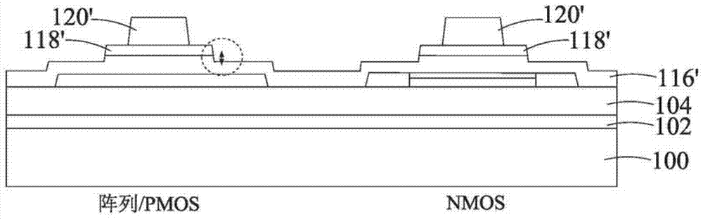 Thin film transistor and active matrix organic light emitting diode component and manufacturing method