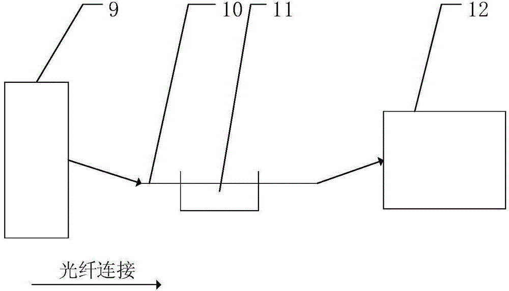 Microscale fibre-optical probe as well as method and device for detecting content of glucose