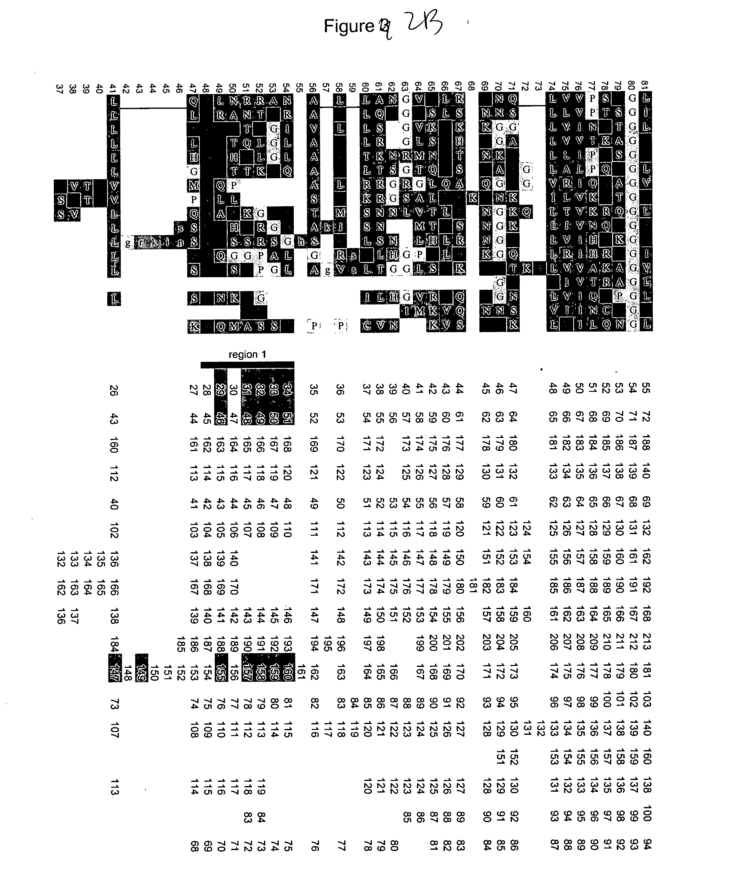 Novel variants of CD40L protein