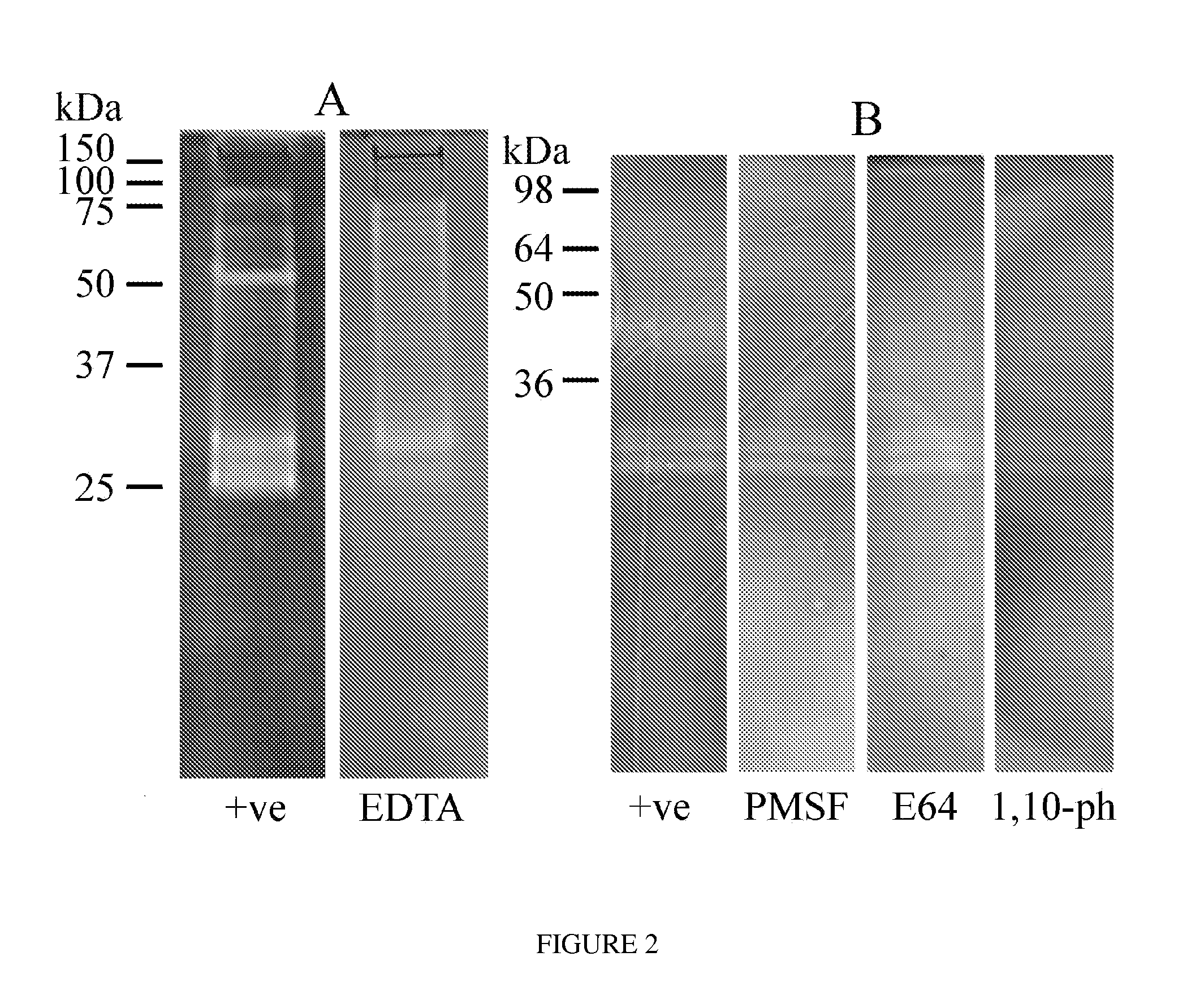 Compositions and methods for controlling infestation