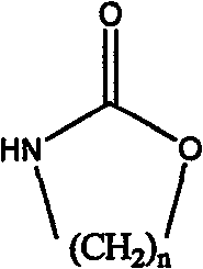 Method for preparing strong alkali anion exchange resin with long spacer arm