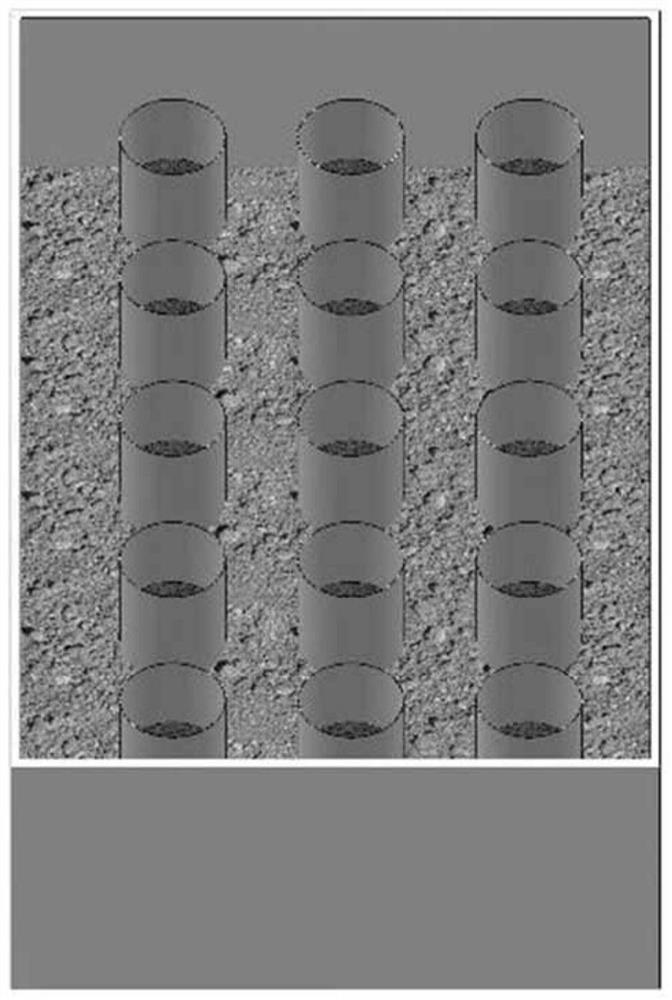 Method for detecting influence of different fire intensities on underground soil seed bank