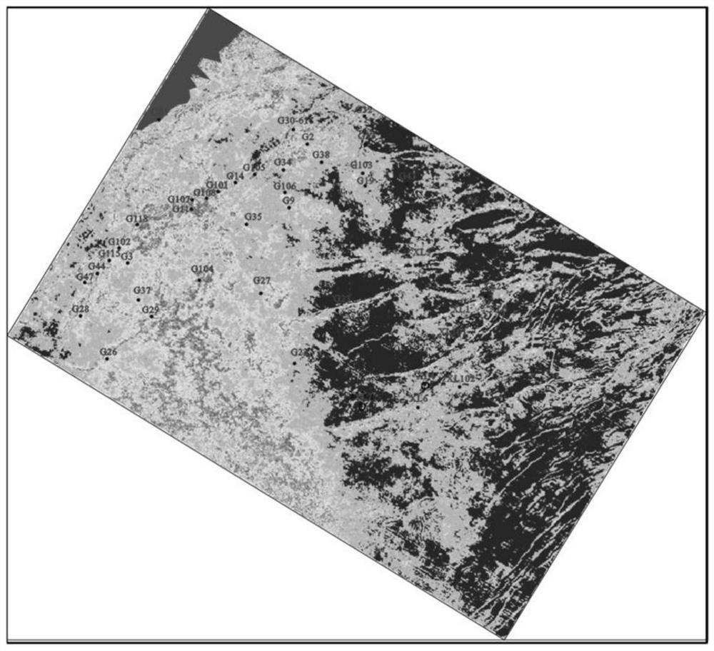 Shale oil and gas system based on seismic sedimentology theory and identification method thereof