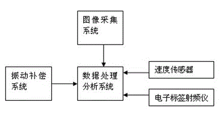 Metro gauge detecting system and detecting method thereof