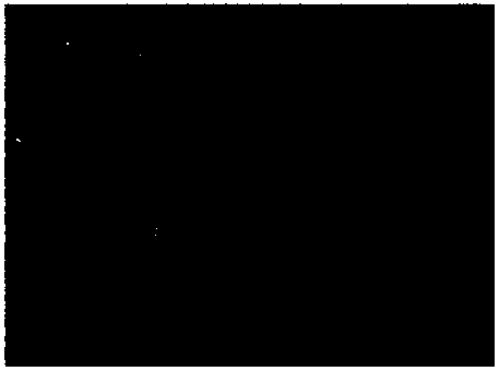 High-nickel steel for low-temperature container and manufacturing method of high-nickel steel