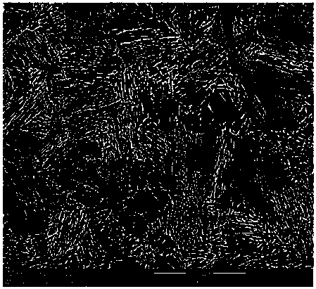 High-nickel steel for low-temperature container and manufacturing method of high-nickel steel