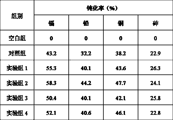 Composite passivator for heavy metals in soil and using method of composite passivator