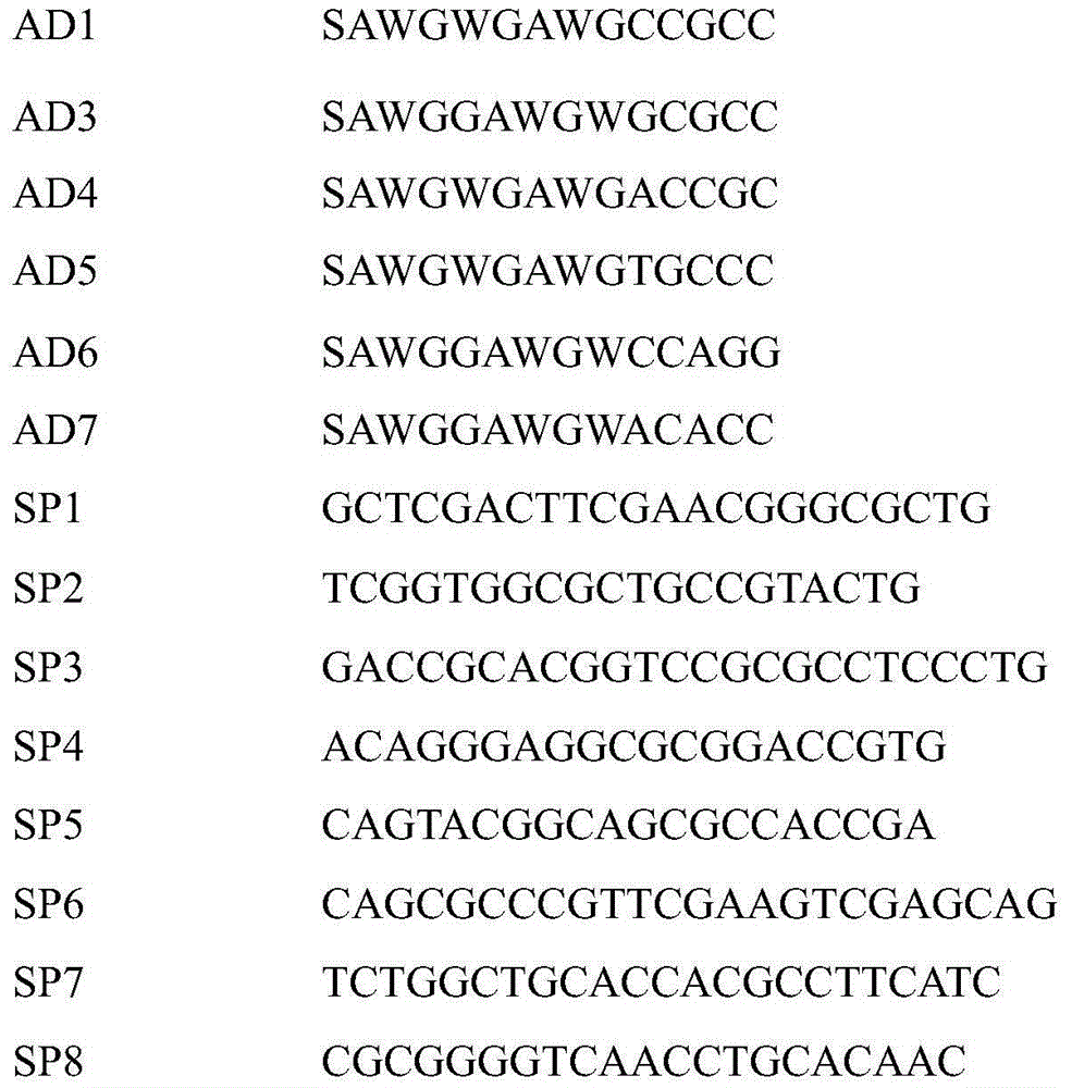 Tyrosinase coding gene melC derived from streptomyces kathirae SC-1 and proteins of tyrosinase coding genes melC