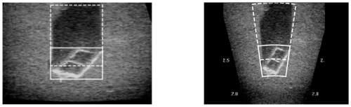 Forward-looking sonar target detection marking method capable of simultaneously marking shadows