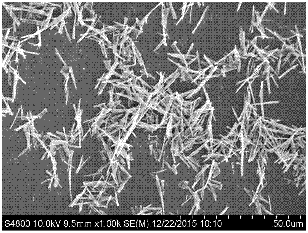 Preparation method of quick-dry scratch-resistant water-borne wood coating