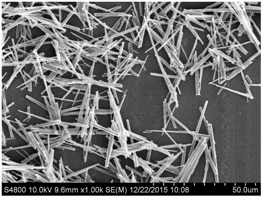 Preparation method of quick-dry scratch-resistant water-borne wood coating