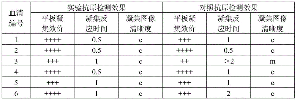 Pullorum staining agglutination antigen as well as preparation method and application thereof