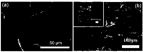 Flexible three-dimensional porous carbon material and preparation method and application thereof