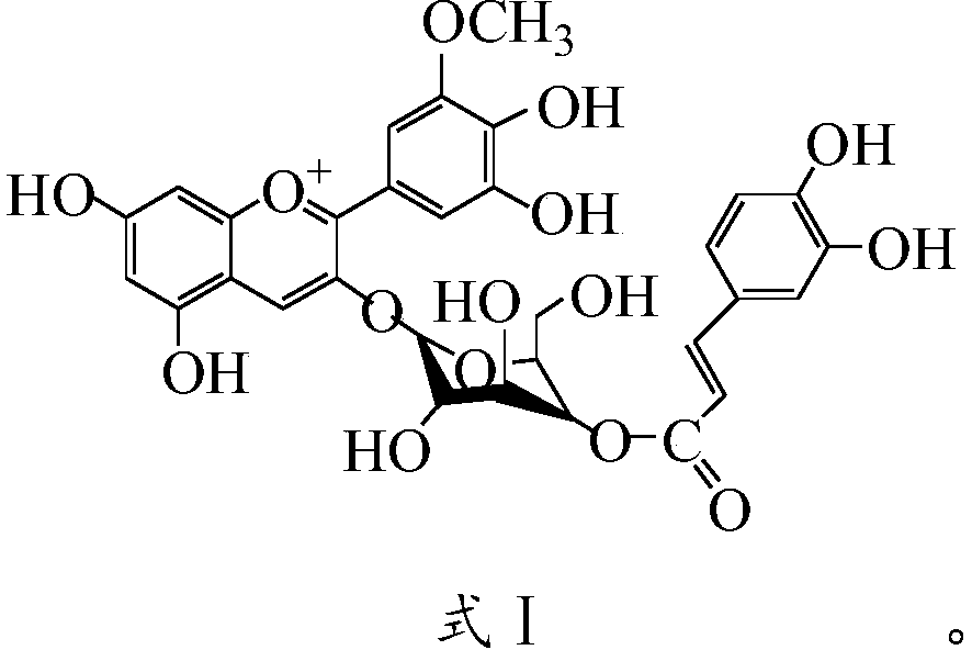 Steady-state petunidin-3-O-glucoside derivative and preparation method thereof