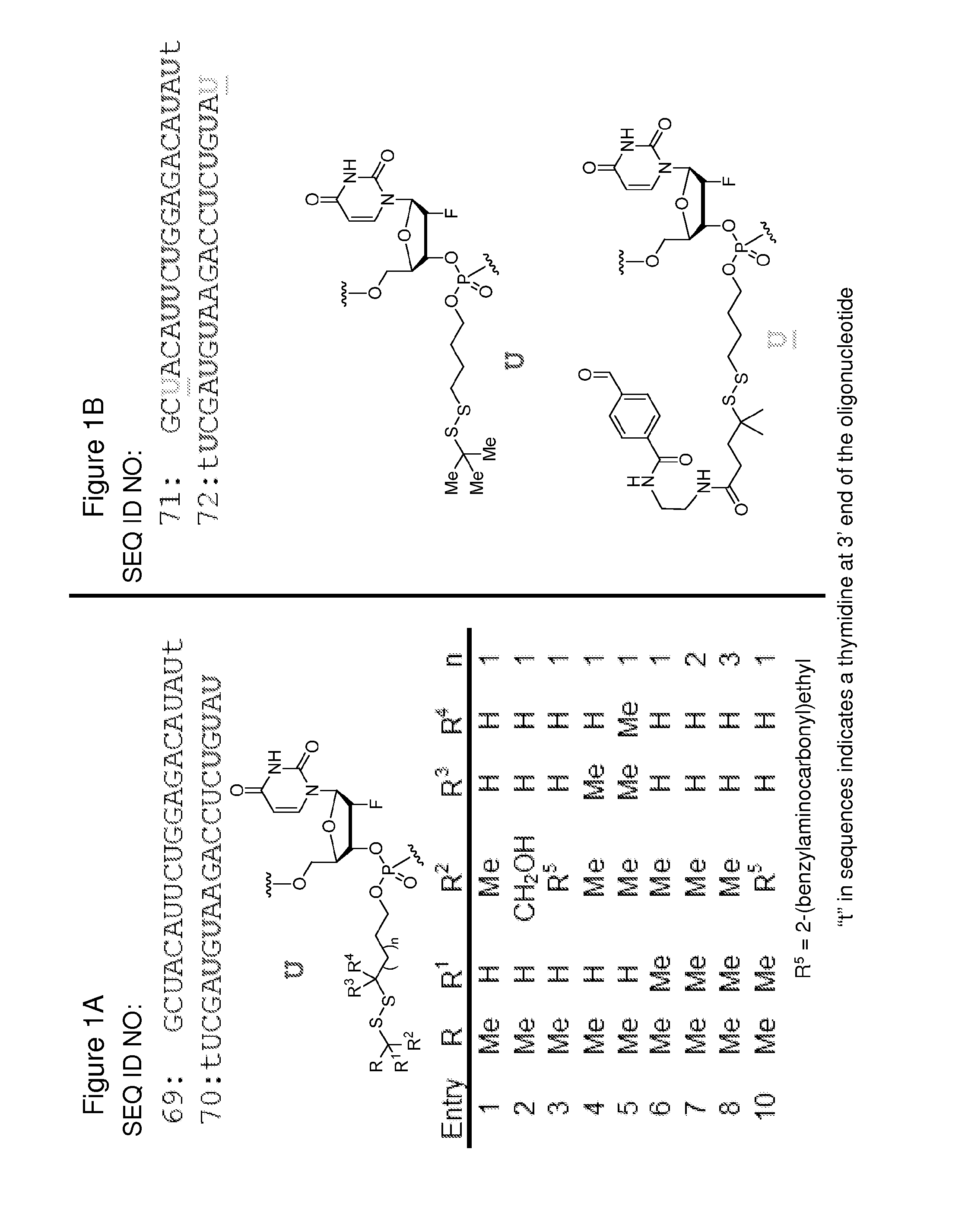 Polynucleotide constructs having disulfide groups