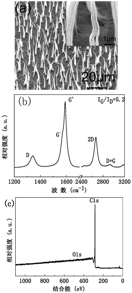 Vertical graphene nanoribbon and preparation thereof, and application of vertical grapheme nanoribbon in preparation of supercapacitor