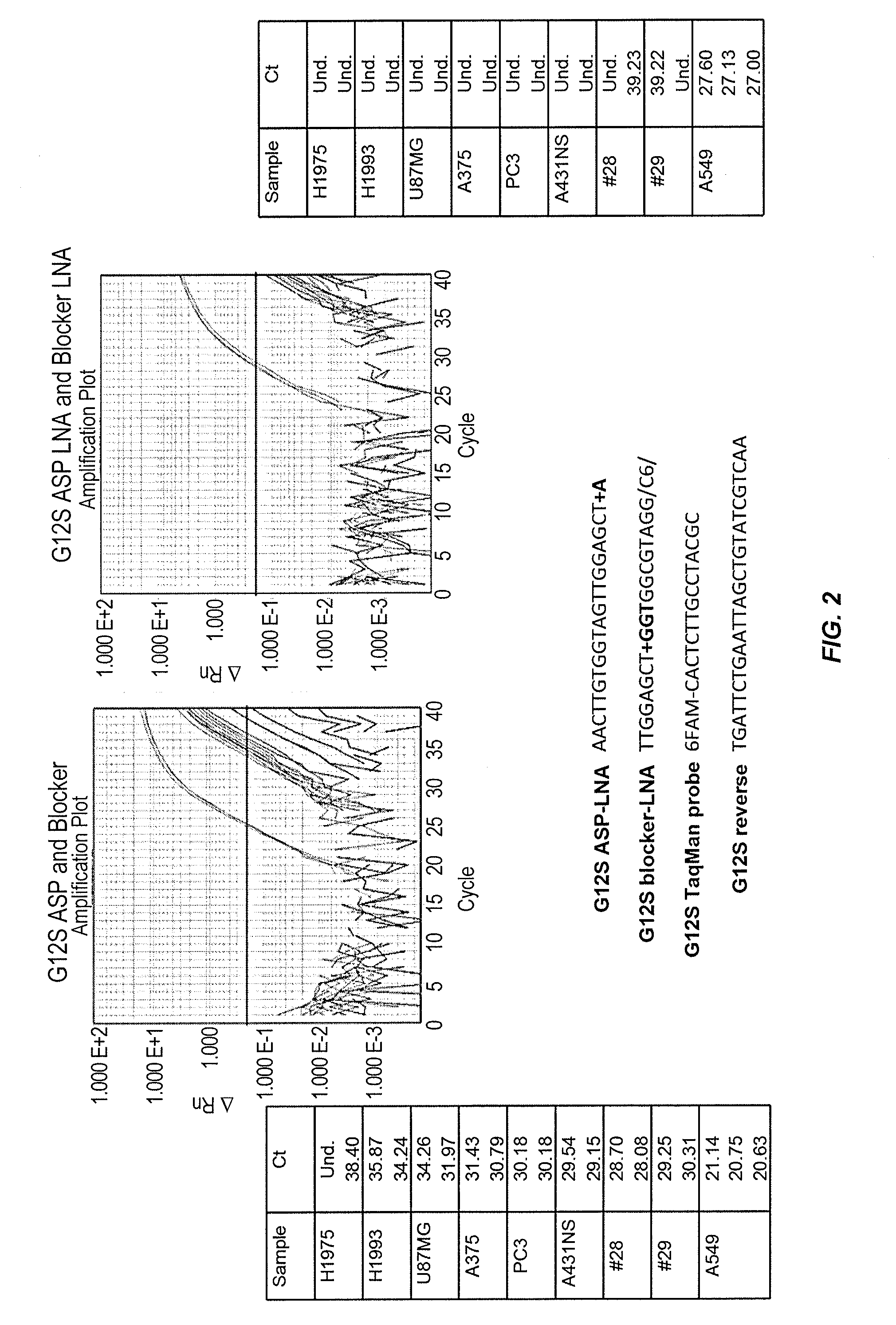 Compositions and methods for detecting allelic variants