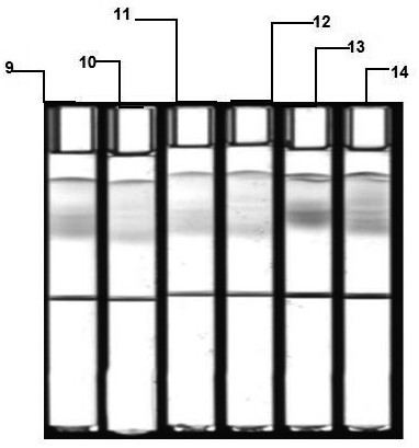 Sudan black b2 dye and staining solution, detection method using same, gel electrophoresis system containing same, kit and preparation method