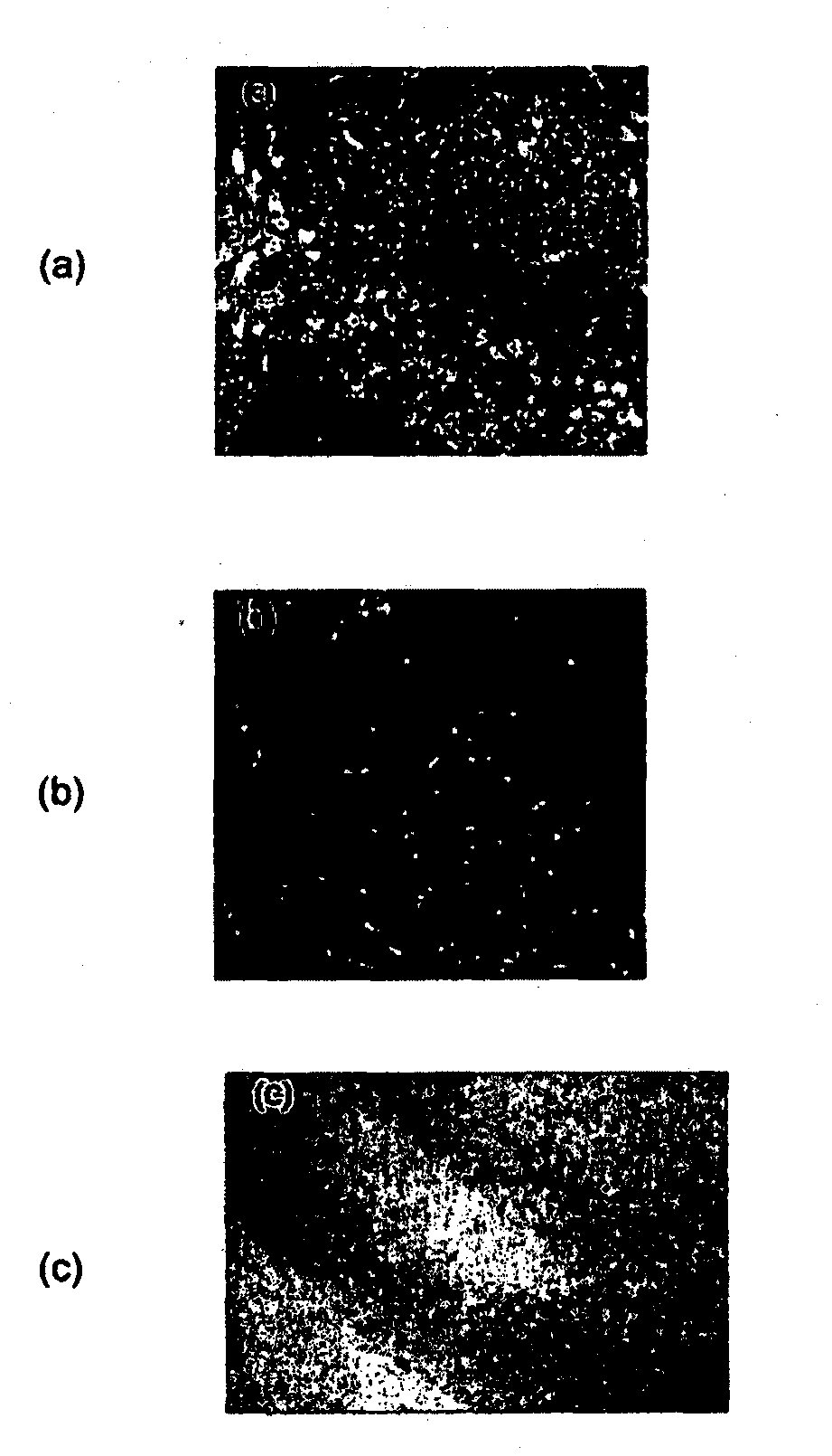 Ligands for aggregated tau molecules