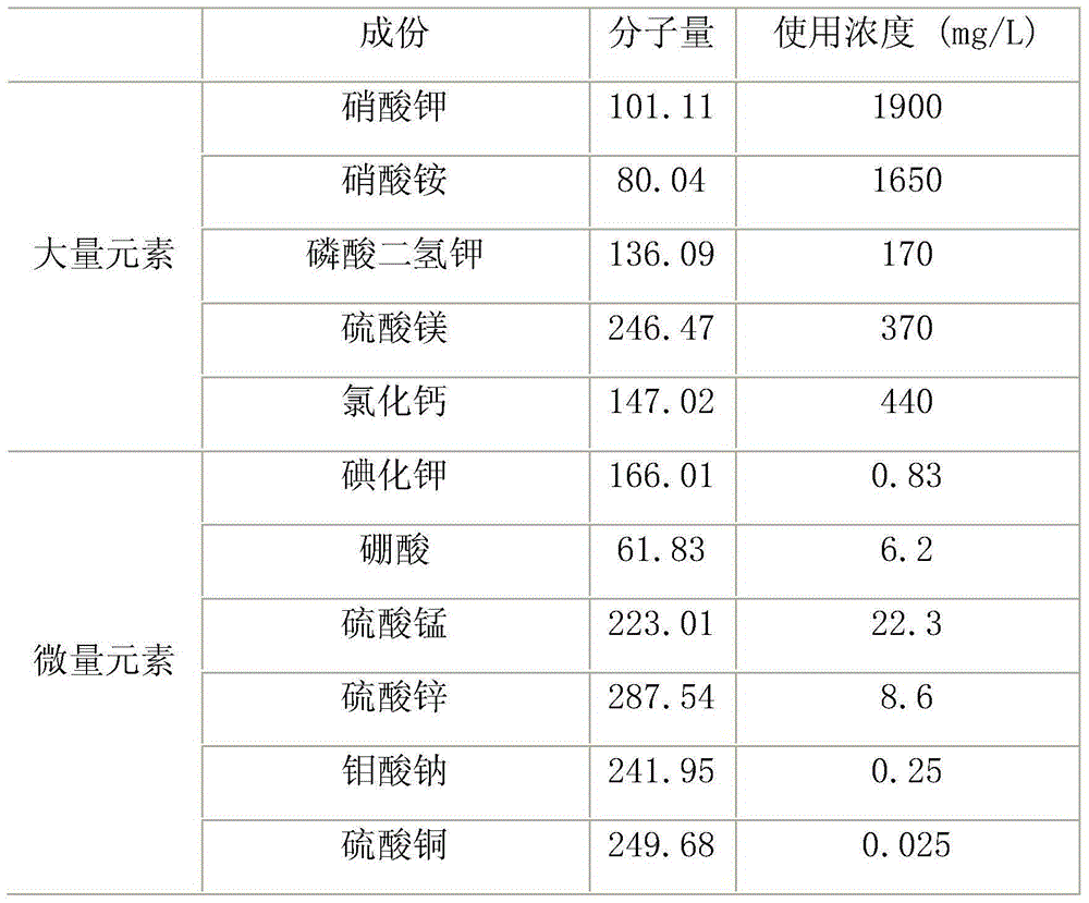 Rapid propagation method of dendrobium officinale