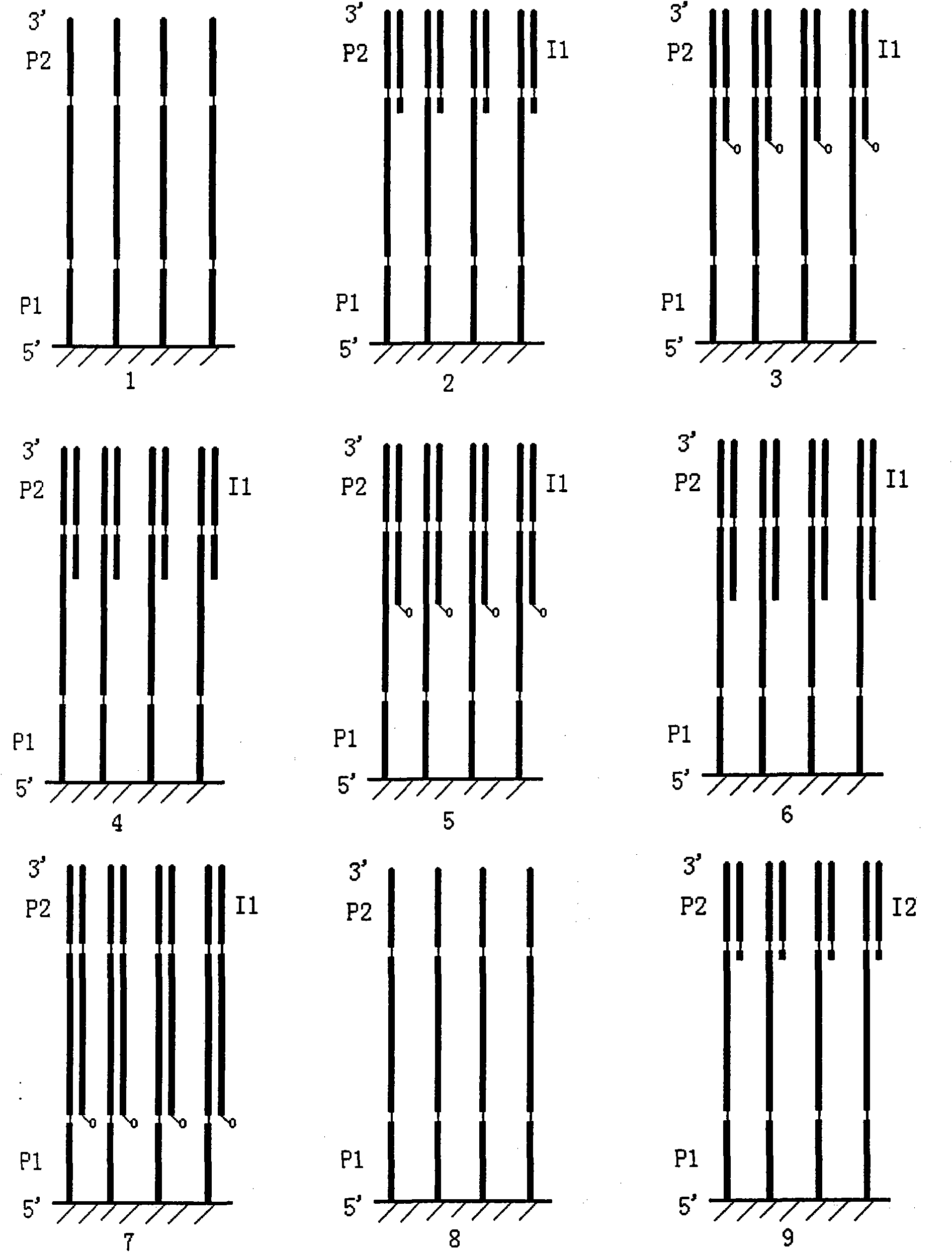 Signal combination coding-based DNA ligation sequencing method