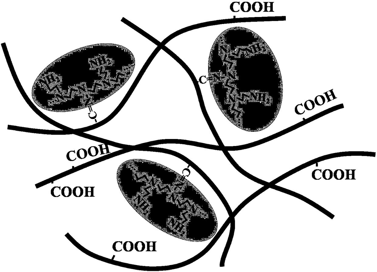 A kind of oxidized nanocellulose adsorption material and preparation method thereof