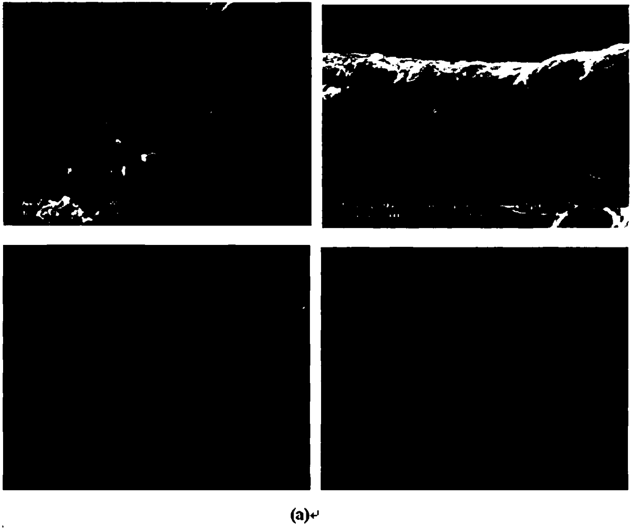 A kind of oxidized nanocellulose adsorption material and preparation method thereof