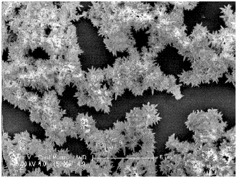 Preparation method of nanometer strontium hydroxyapatite and application thereof