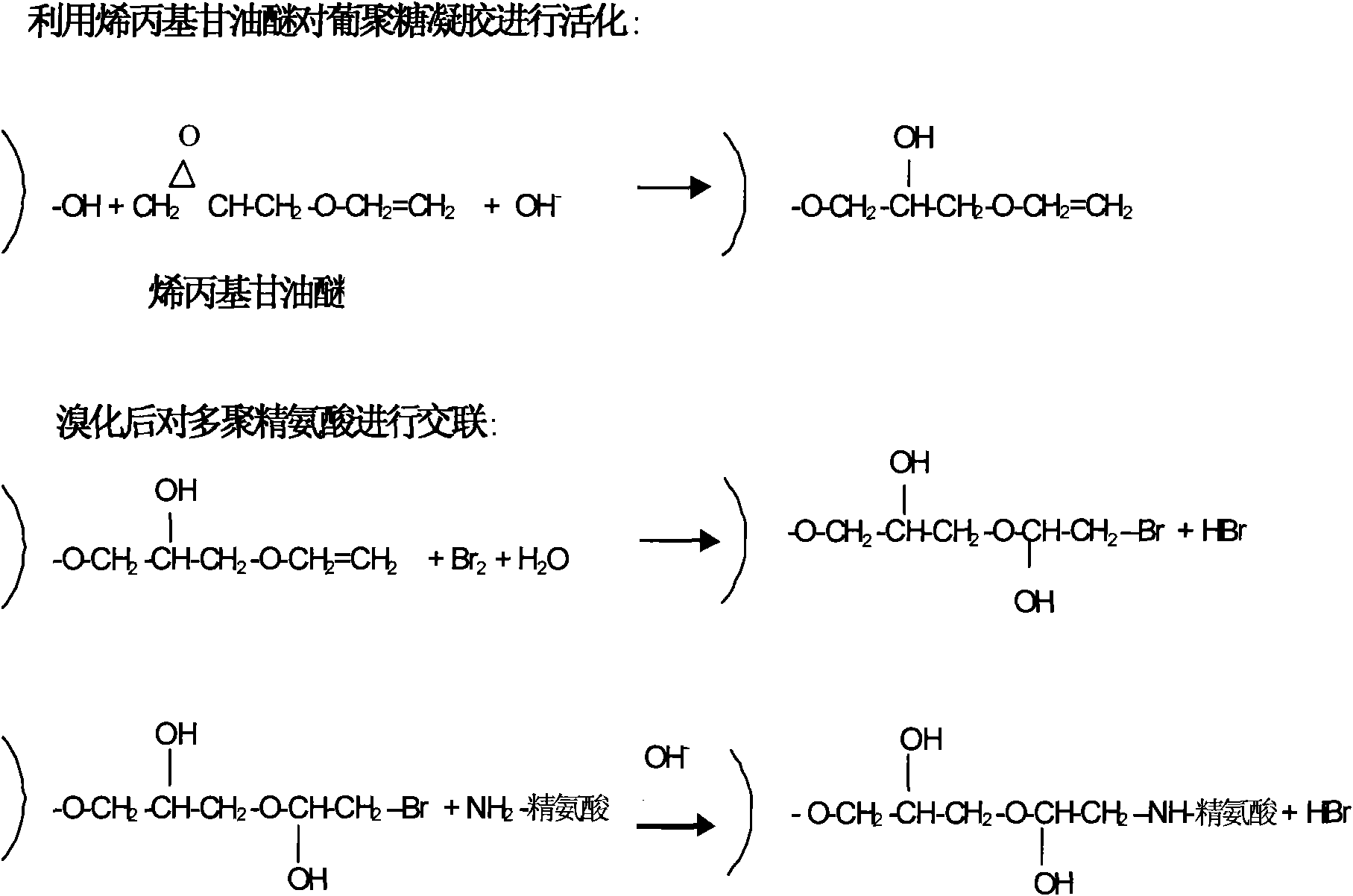 Microcarrier for culturing animal cell and crosslinking method thereof