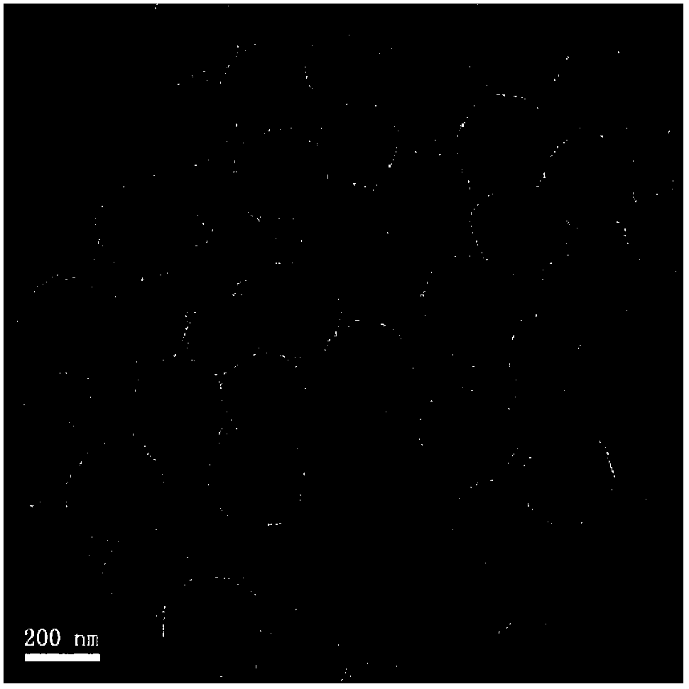 Preparation method of Fe3O4 nano-magnetic resonance contrast medium material