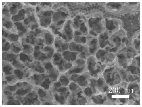 Tungsten telluride-tungsten boride heterojunction electrocatalyst and preparation method and application thereof