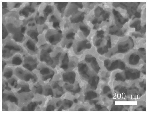 Tungsten telluride-tungsten boride heterojunction electrocatalyst and preparation method and application thereof