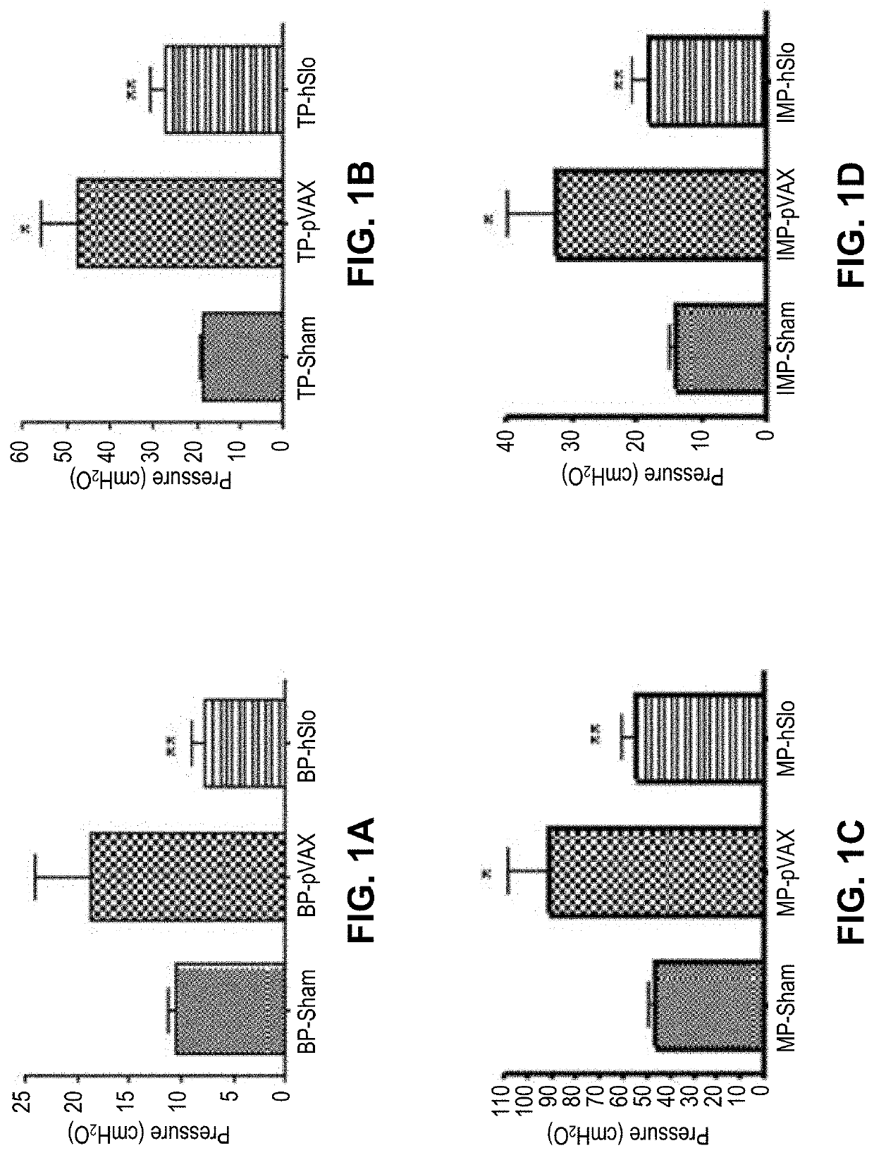 Compositions and methods for the treatment of smooth muscle dysfunction