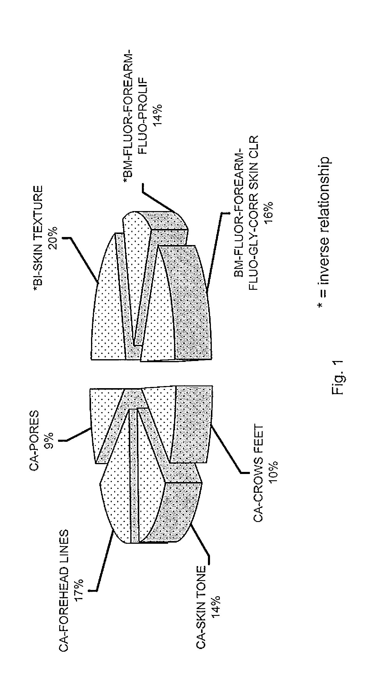 Objective Model Of Apparent Age, Methods And Use