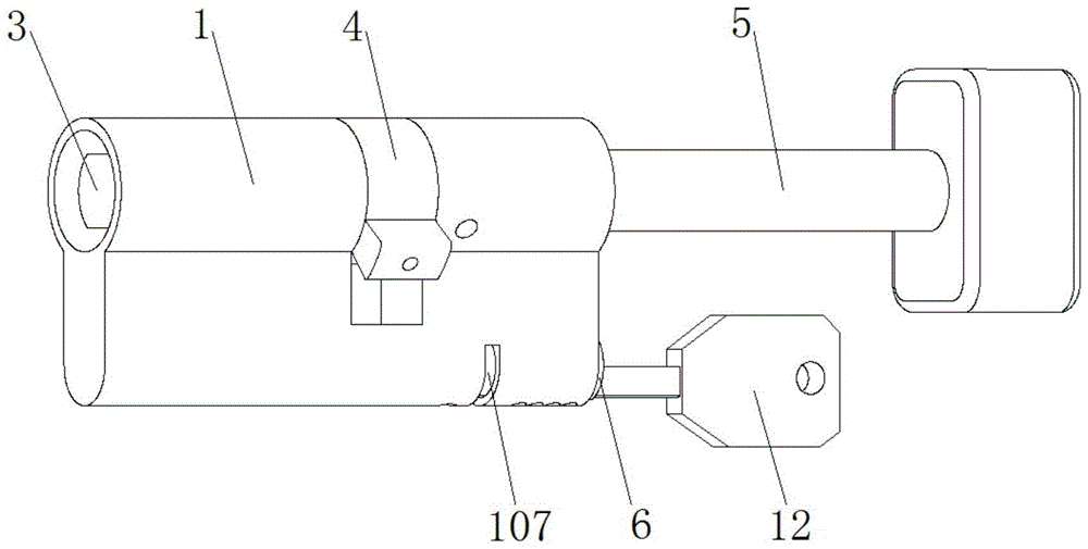 An electronic remote control lock head with emergency opening function