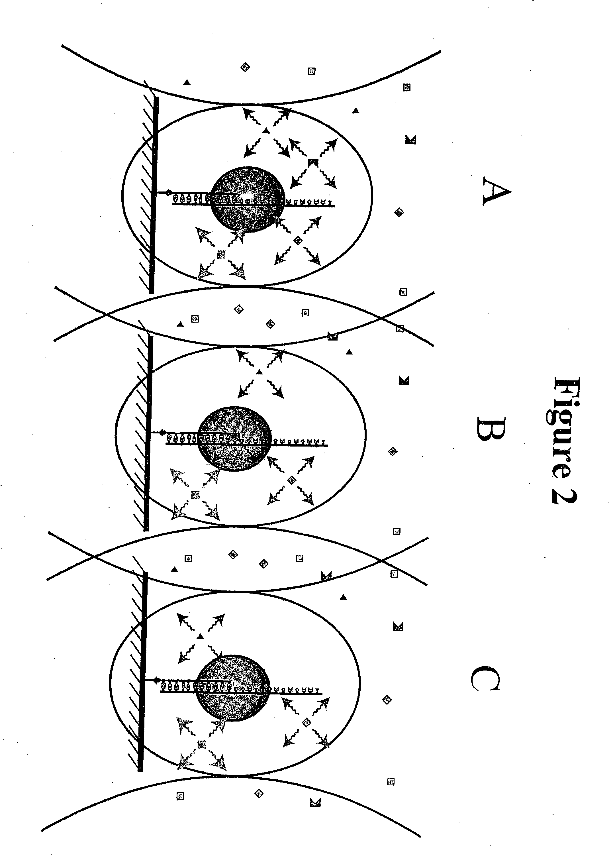 Method for sequencing nucleic acid molecules