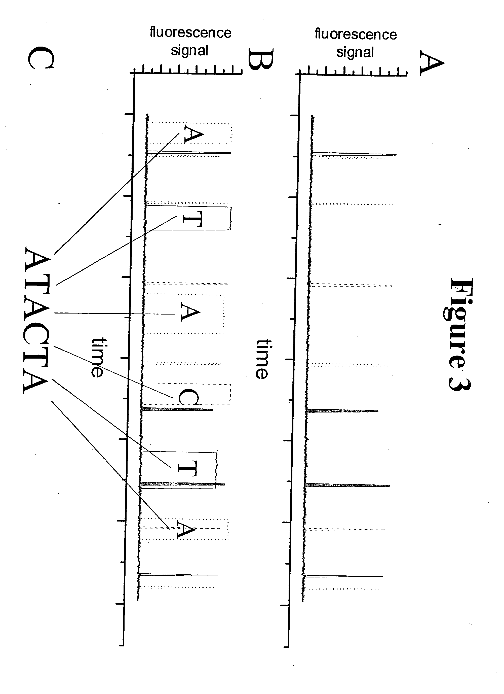 Method for sequencing nucleic acid molecules