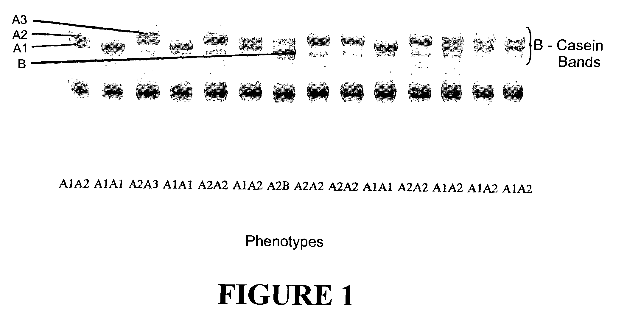 Method of selecting non-diabetogenic milk or milk products and milk or milk products so selected