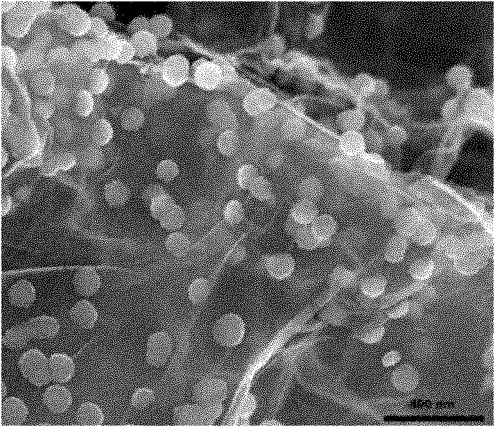 Titanium dioxide/graphene nanocomposite material and preparation method and application thereof