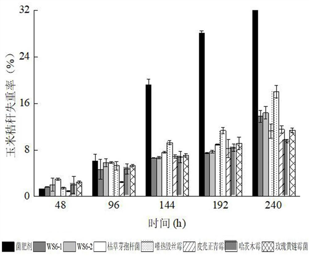 Efficient decomposition liquid bacterial fertilizer as well as preparation method and application thereof