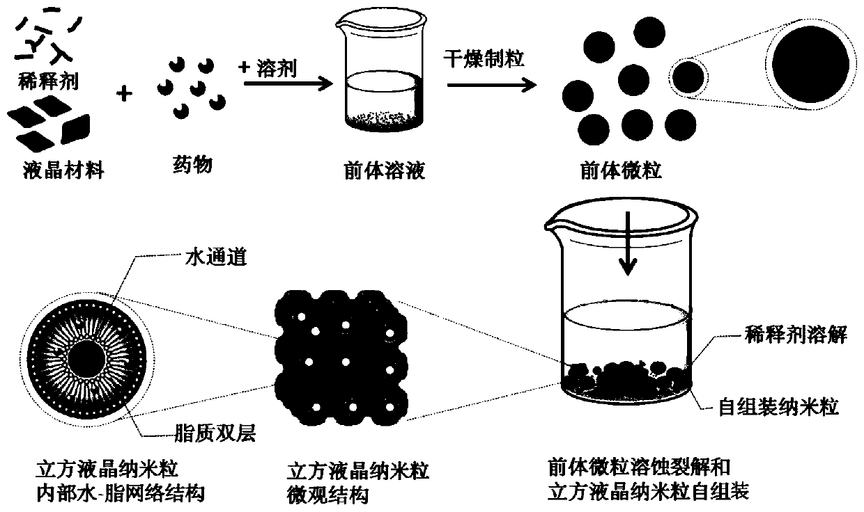 Liquid crystal nanoparticle precursor particles, self-assembled liquid crystal nanoparticles and preparation method thereof