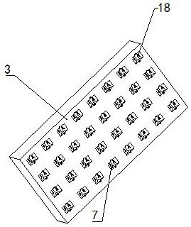 Double-color ornament accessory and production process thereof