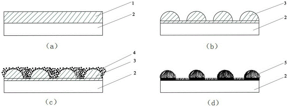 A three-dimensional cross-scale carbon electrode array structure and its preparation method