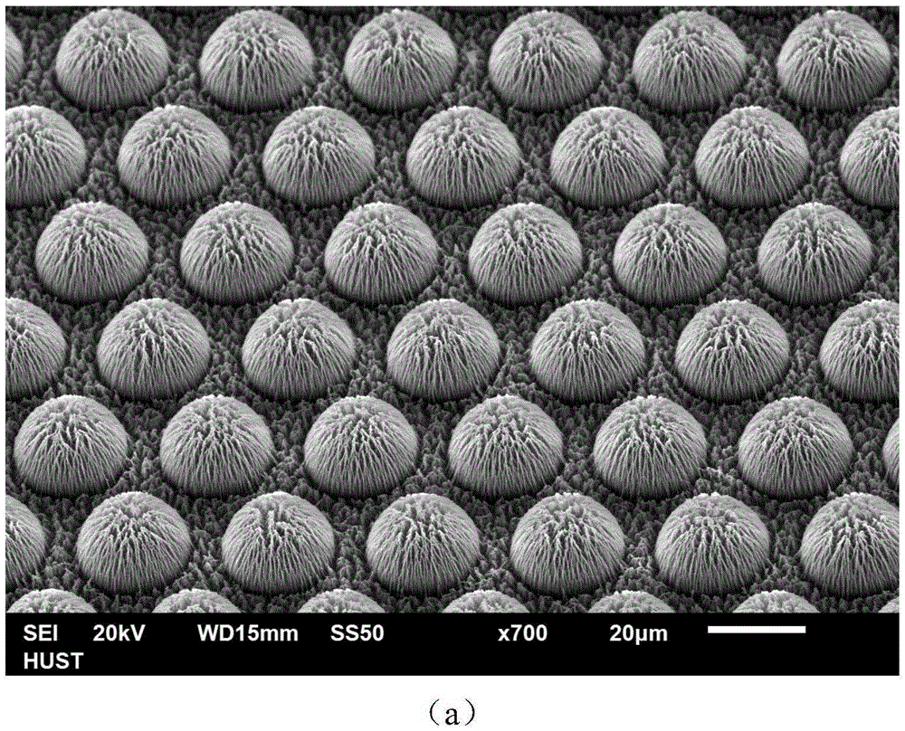 A three-dimensional cross-scale carbon electrode array structure and its preparation method