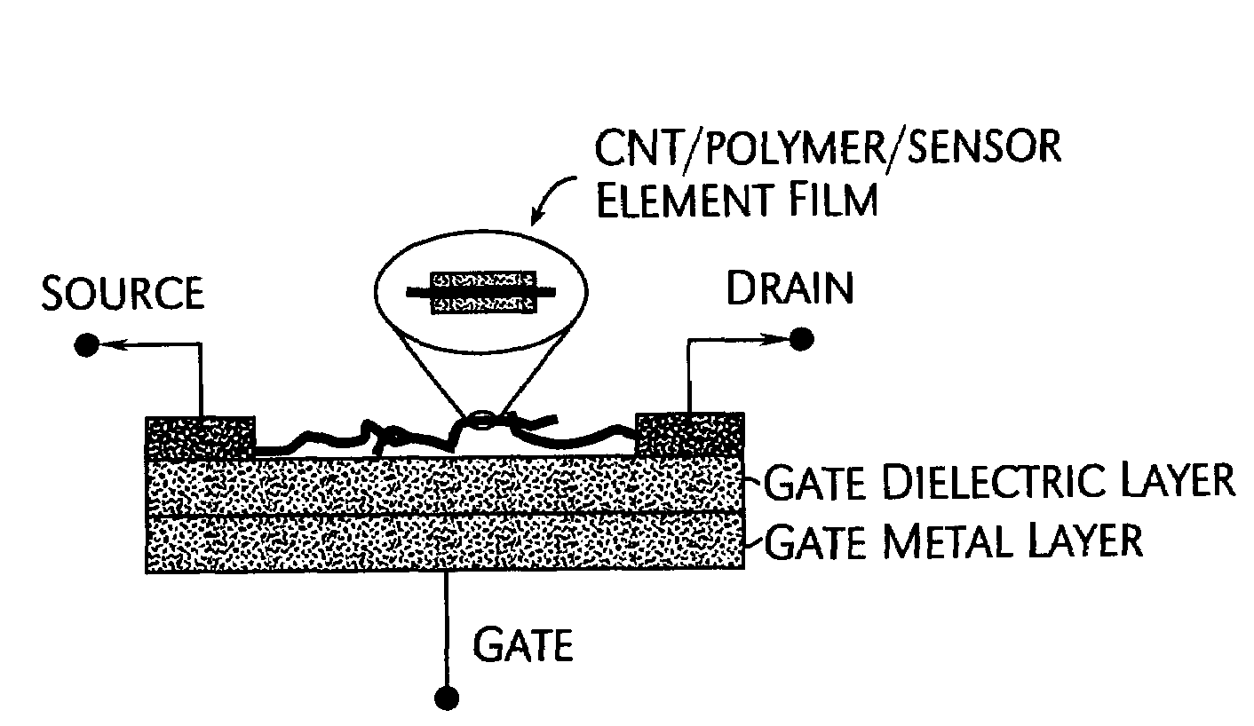 Nanobiosensor and carbon nanotube thin film transistors