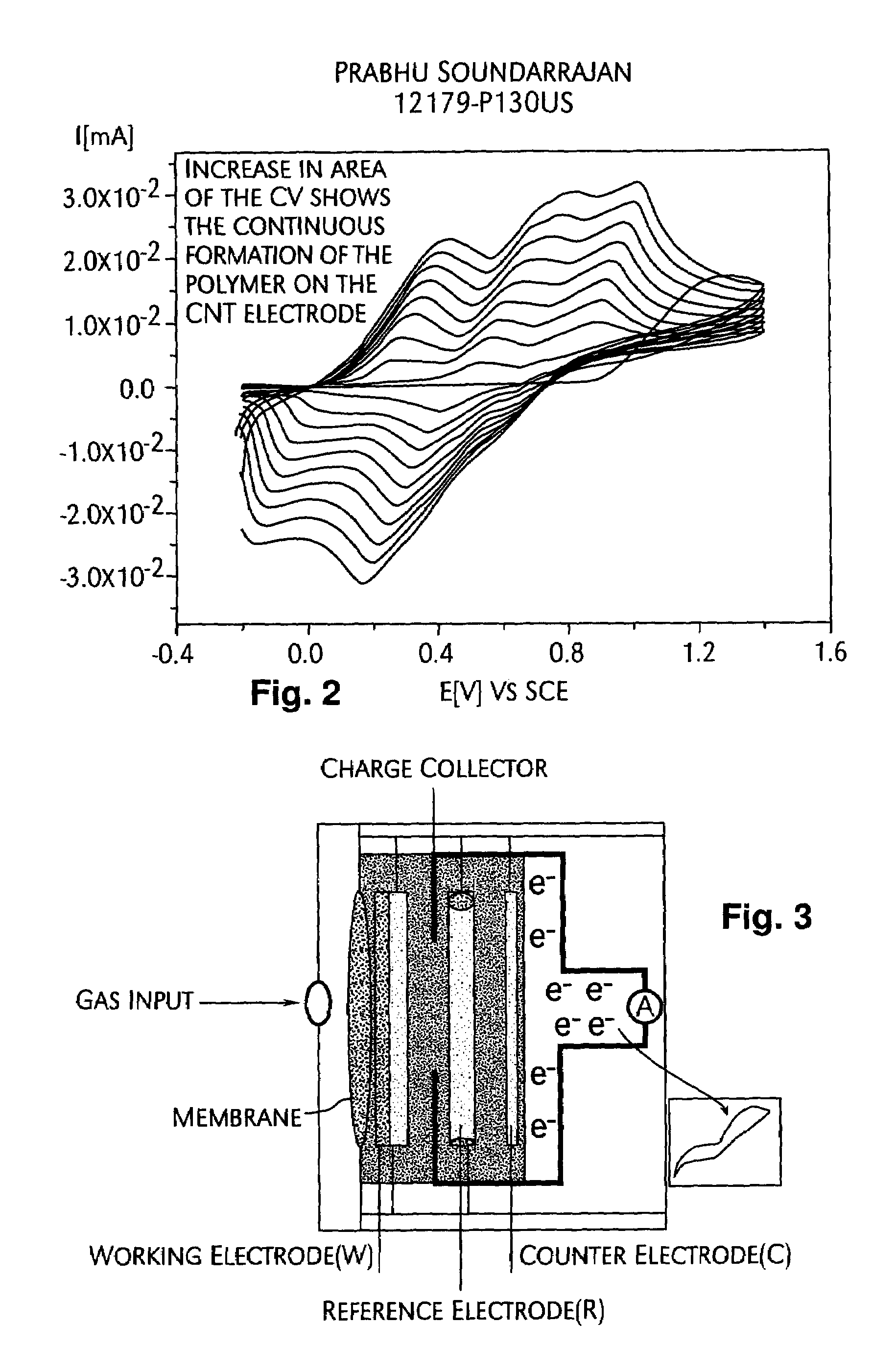 Nanobiosensor and carbon nanotube thin film transistors