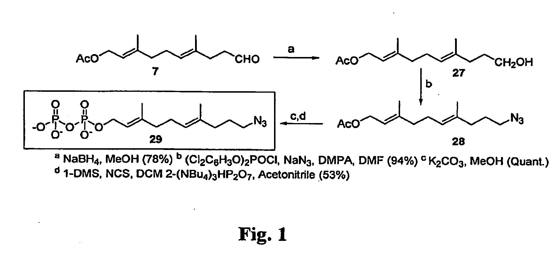 Immobilized Proteins and Methods and Uses Thereof