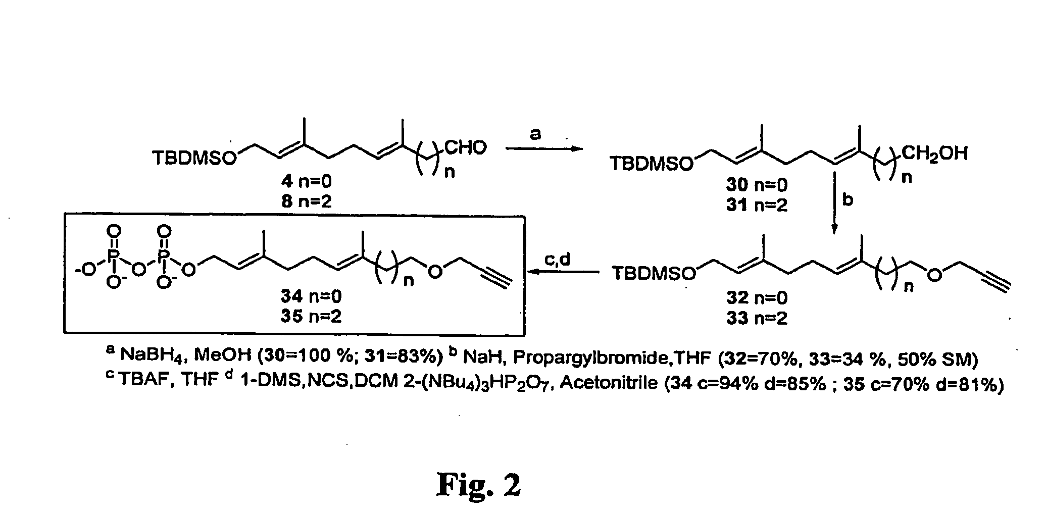 Immobilized Proteins and Methods and Uses Thereof