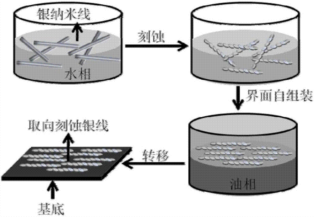 Surface-enhanced Raman scattering substrate, and preparation method and application of surface-enhanced Raman scattering substrate